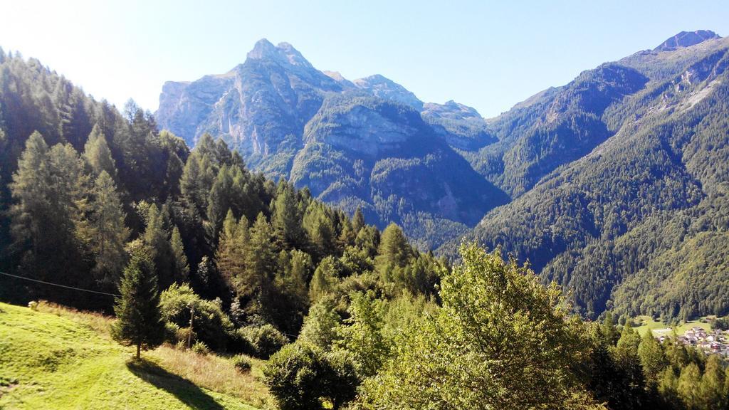 Casa Alpina Villa Cencenighe Exteriör bild